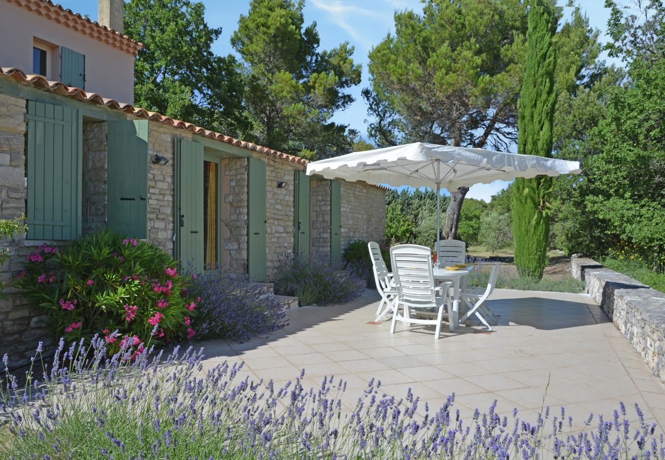 84LUCK, Lavendelterrasse mit Blick, Murs, Lubéron, Provence, Südfrankreich