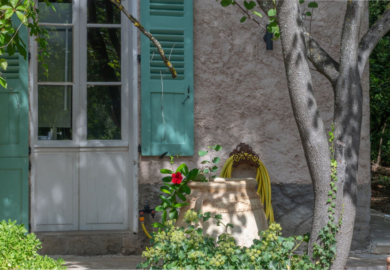 Villa in Lorgues - Domaine du Bonheur